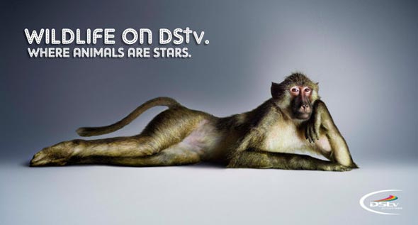 creative advertisement