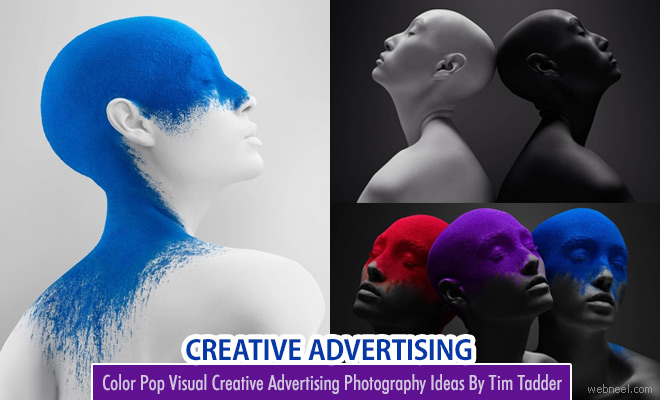 Color Pop Visual Delight Creative Advertising Photography Ideas By Tim Tadder