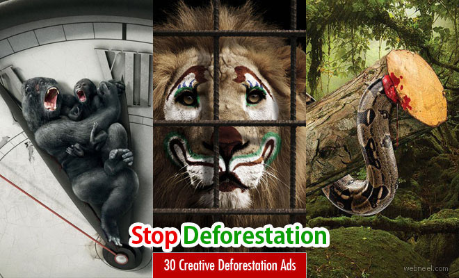 Stop Deforestation - 30 Creative Advertising Ideas and design inspiration
