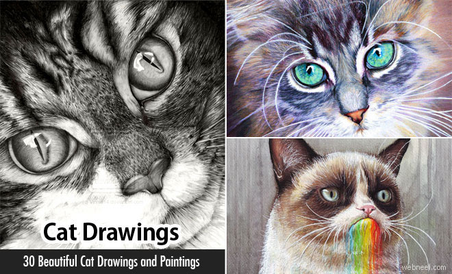 30 Beautiful Cat Drawings - Best Color Pencil Drawings and Paintings - World Cat Day Aug 8