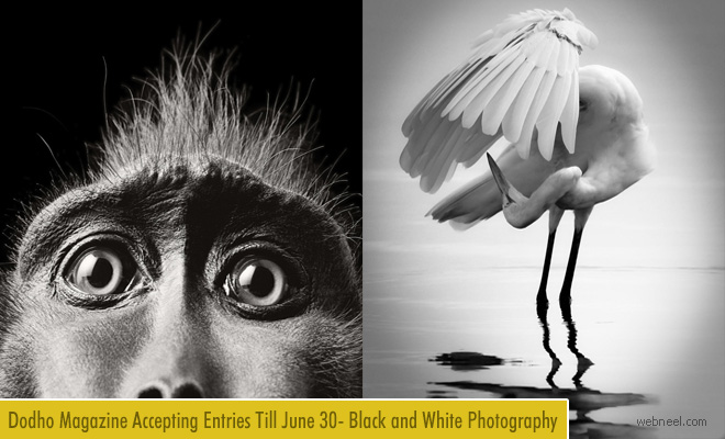 International Black and White Photography 2018 for Dodho Magazine - 30 June