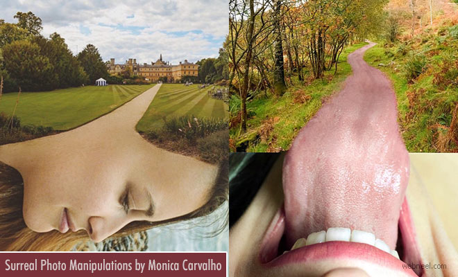 10 Mind-Bending Photo Manipulation Works by Monica Carvalho