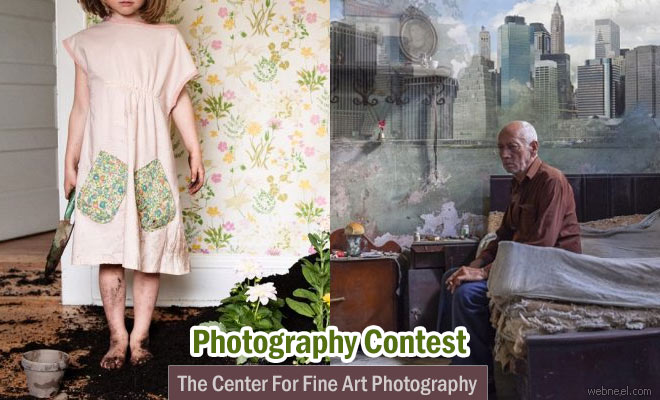 Animalia International Photo Contest: Submit Your Entries Before December 14, 2016