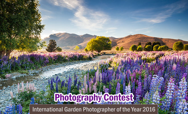 International Garden Photographer of the Year 2016