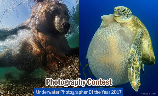 Underwater Photographer Of the Year 2017 - January 2 2017