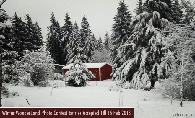 Washington winter Photography Contest - 15 Feb 2018