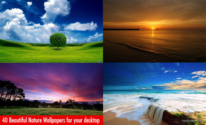 50 Beautiful Nature Wallpapers for Your Desktop, Mobile, and Tablet - HD