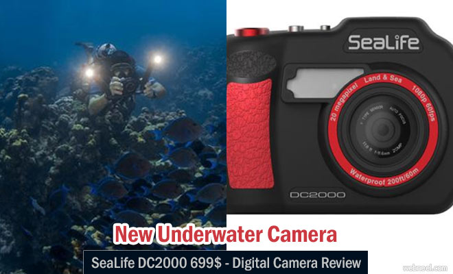 New SeaLife DC2000 Underwater Camera for $699 - Digital Camera Review