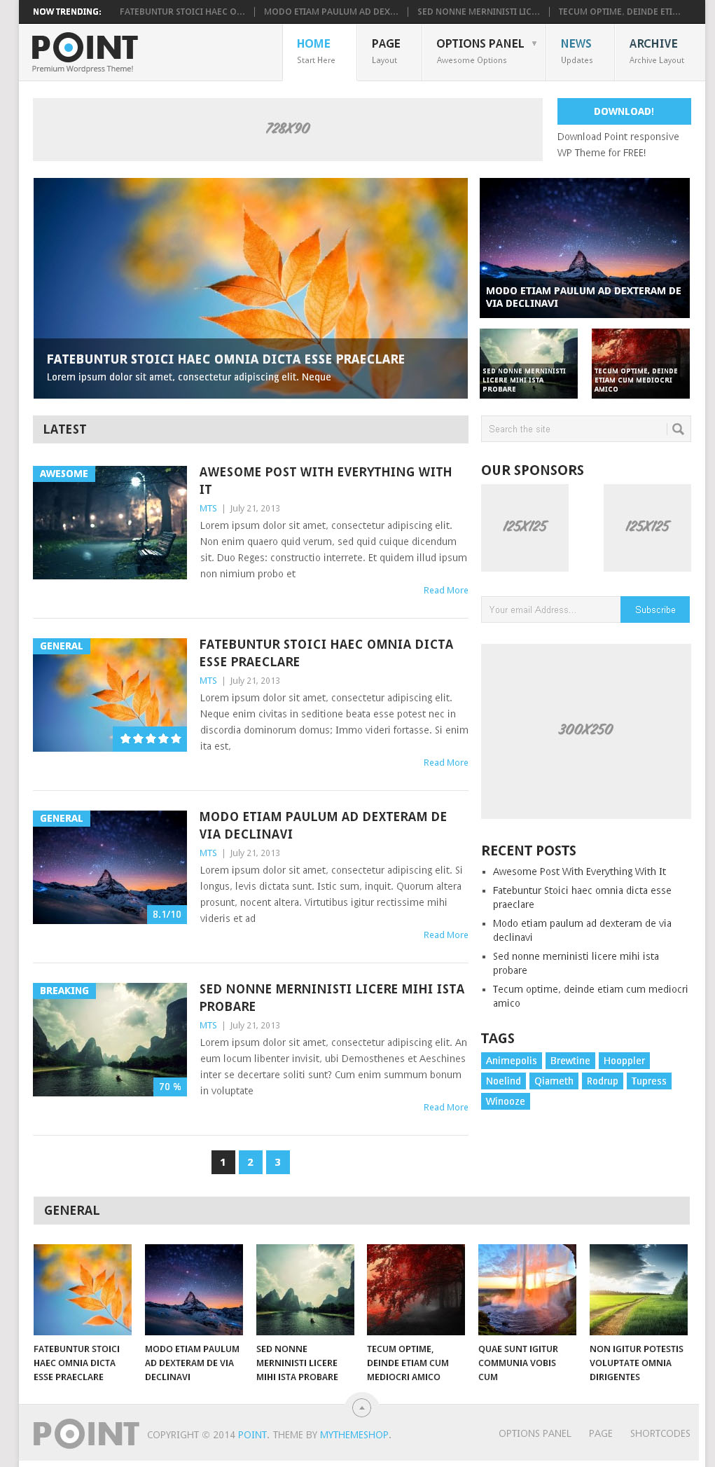 POINT - Free wordpress Themes