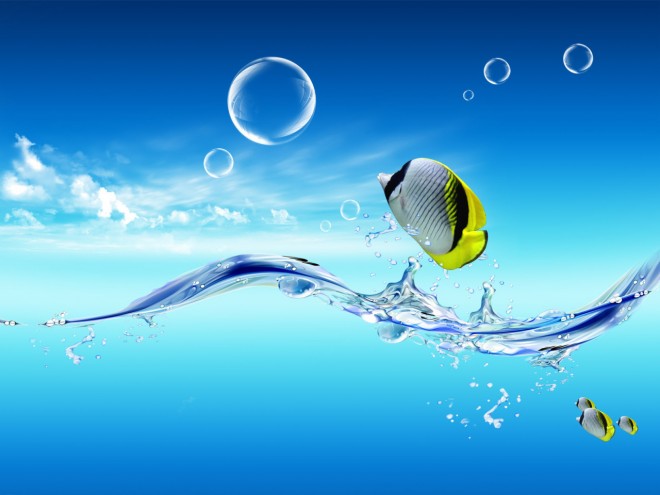 Wallpaper Fish colorfull webneel com