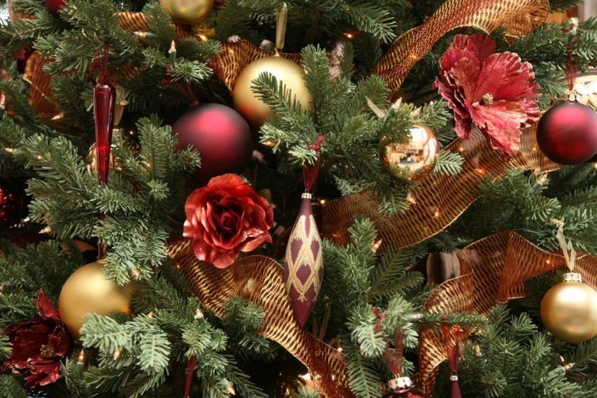 christmas tree close up