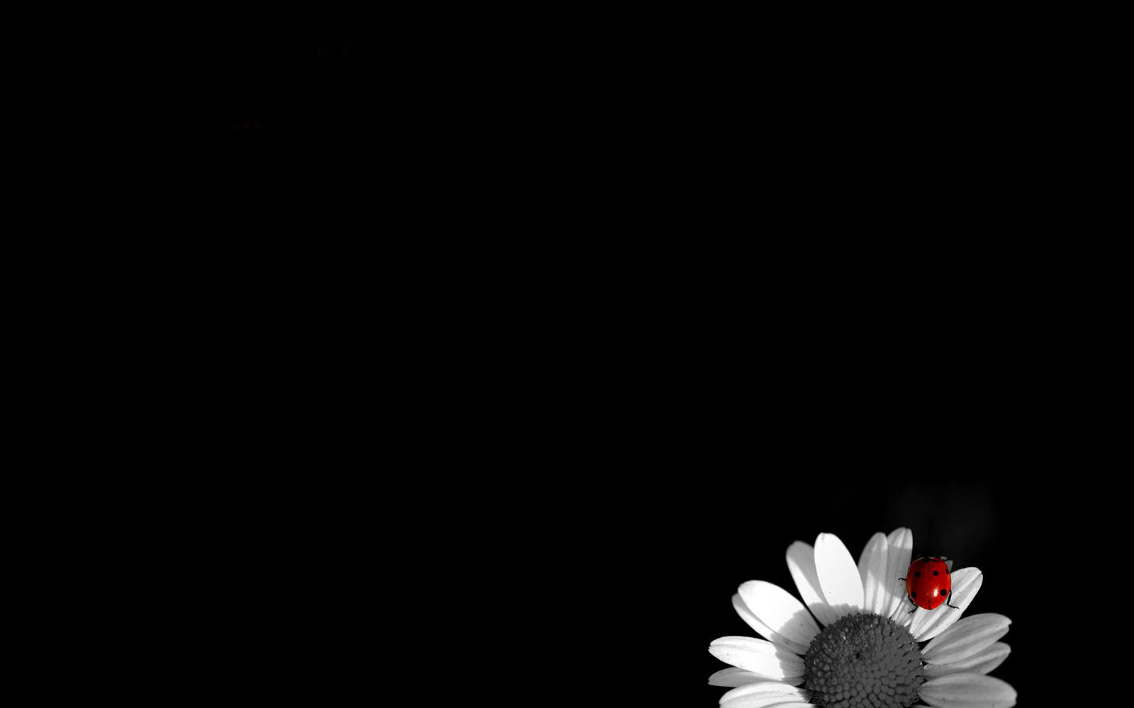 black wallpaper 19