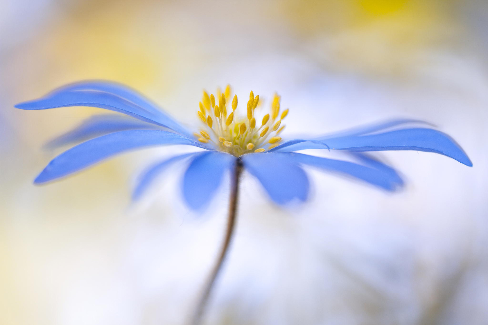 blue wallpaper 21